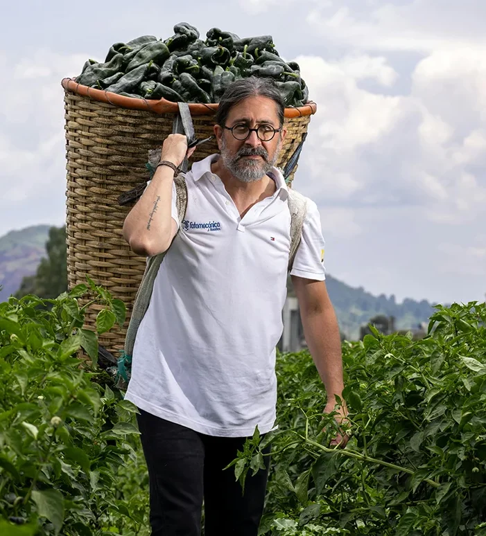 Organic farms avoid toxic inputs, improve soil health, grow clean, sustainable food that supports nature.